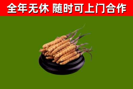 罗平县烟酒回收冬虫夏草.jpg